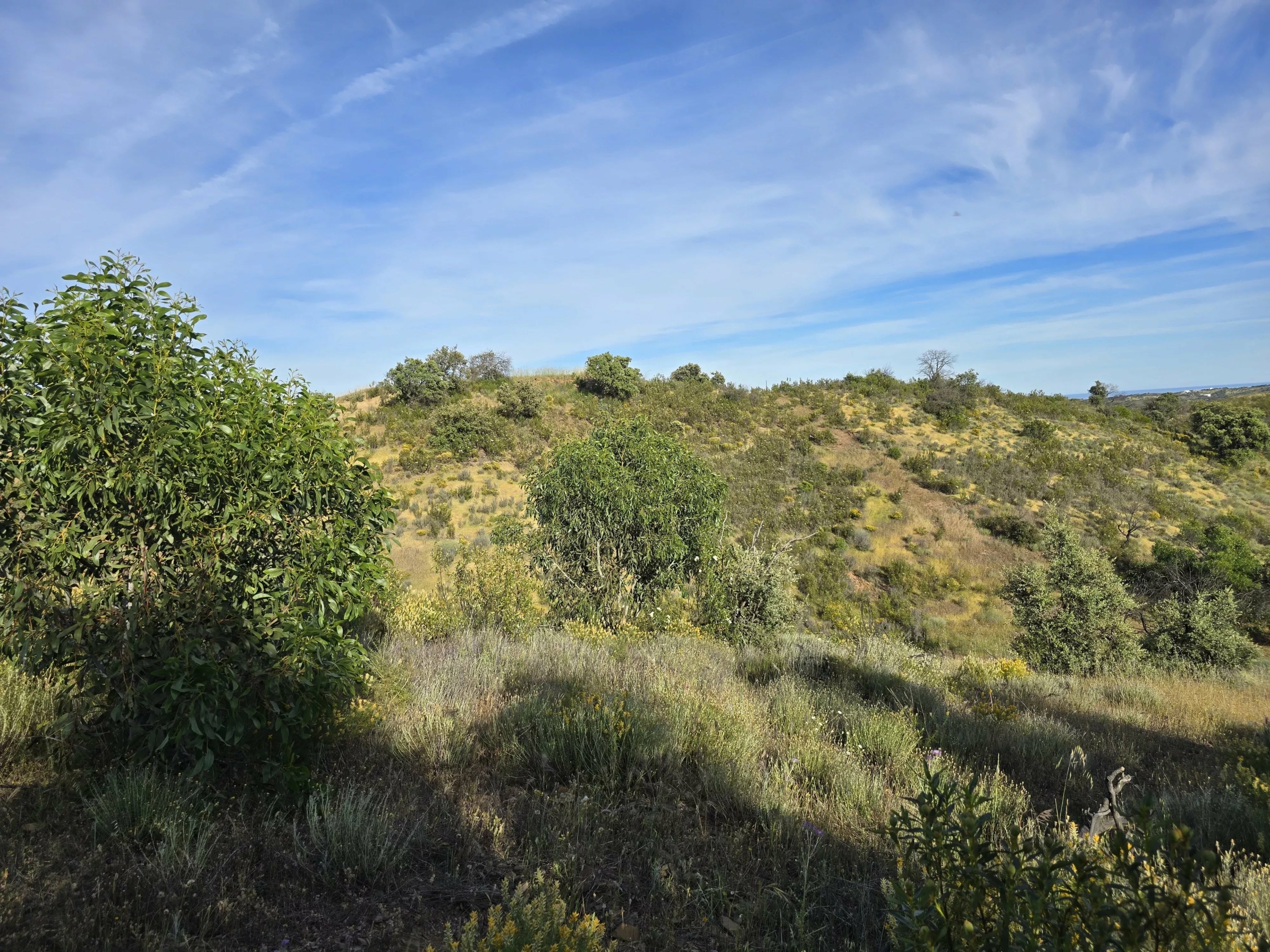Rural land with sea view over one hectare
