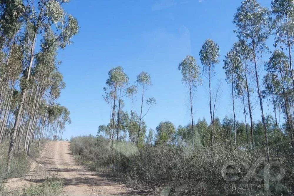 Außergewöhnliches Landgut von 65 ha im Alentejo mit touristischem Entwicklungspotenzial
