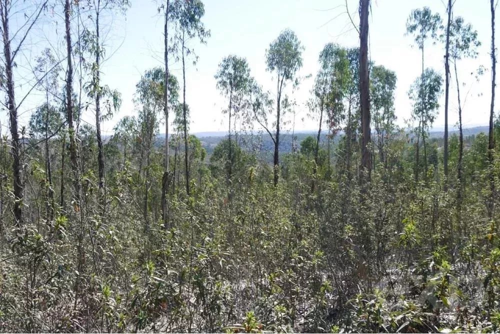 Außergewöhnliches Landgut von 65 ha im Alentejo mit touristischem Entwicklungspotenzial