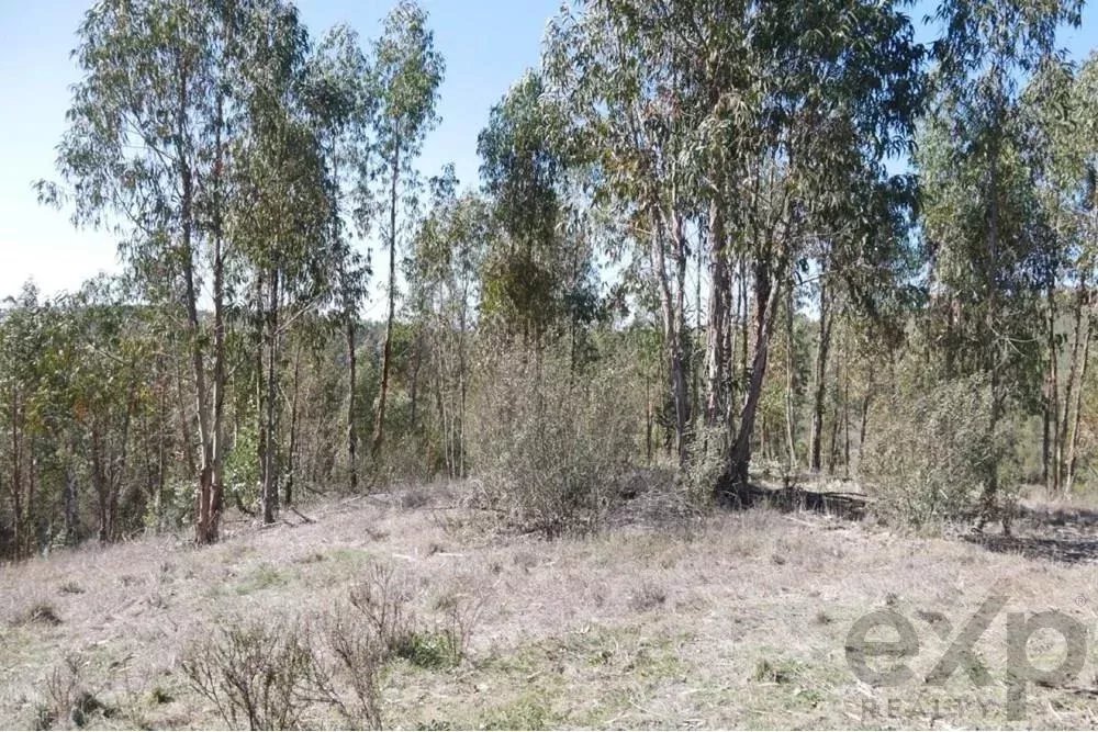 Außergewöhnliches Landgut von 65 ha im Alentejo mit touristischem Entwicklungspotenzial