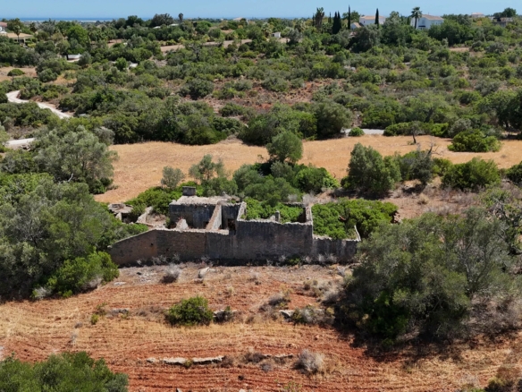 Mixed Land with Ruin | Potential for Custom Project