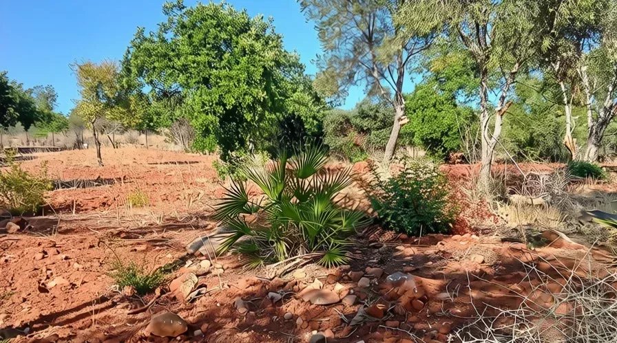 Rustic flat land with 4240 sqm in the Algarve