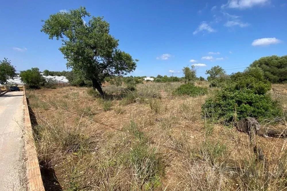 Terrain rustique à vendre dans le district de Faro