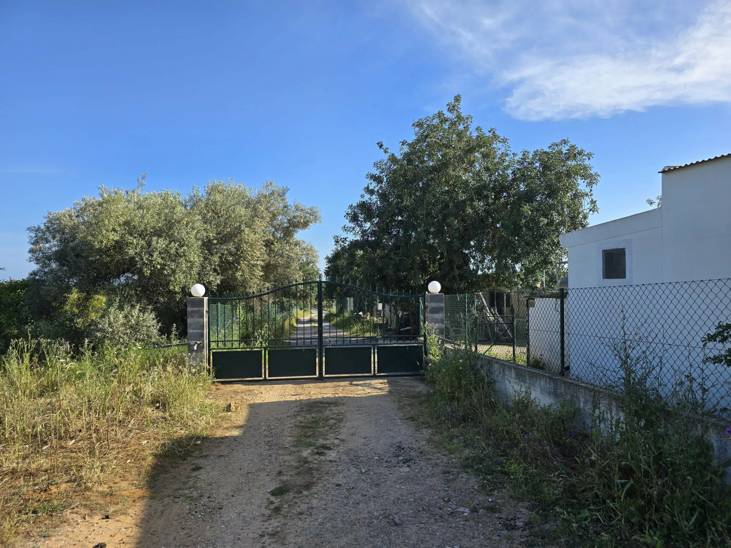 6 room Farmhouse with 1.5 hectares of land and sea view