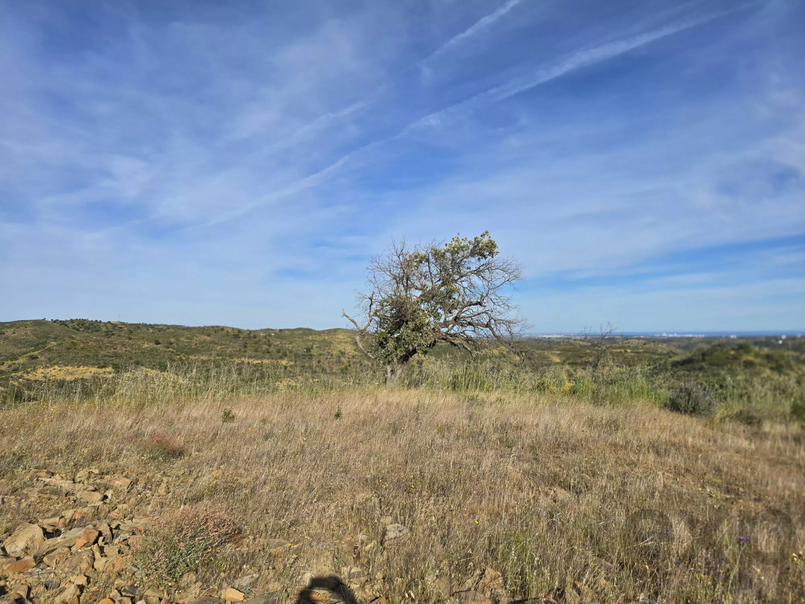 Rural land with sea view over one hectare