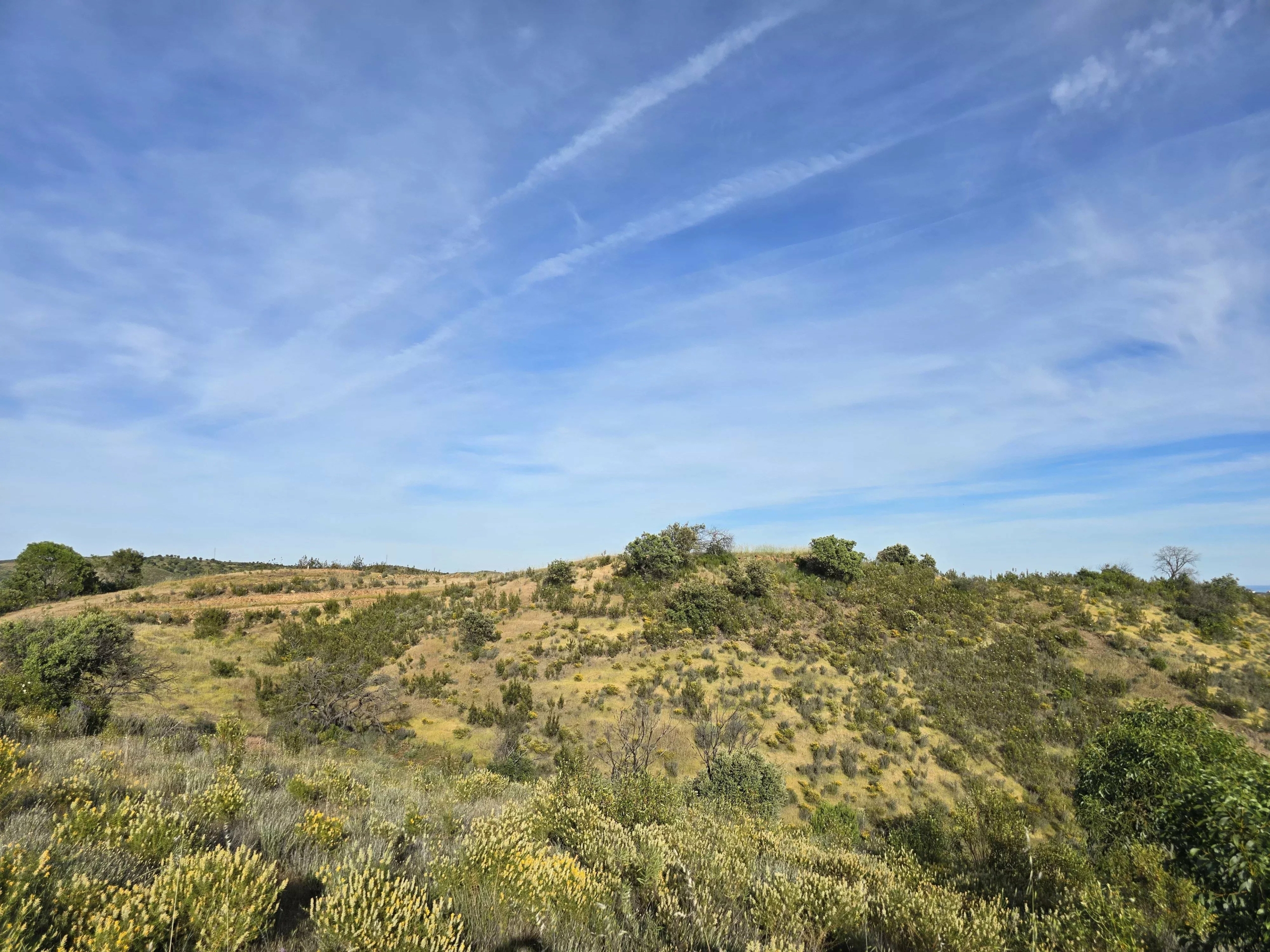 Rural land with sea view over one hectare