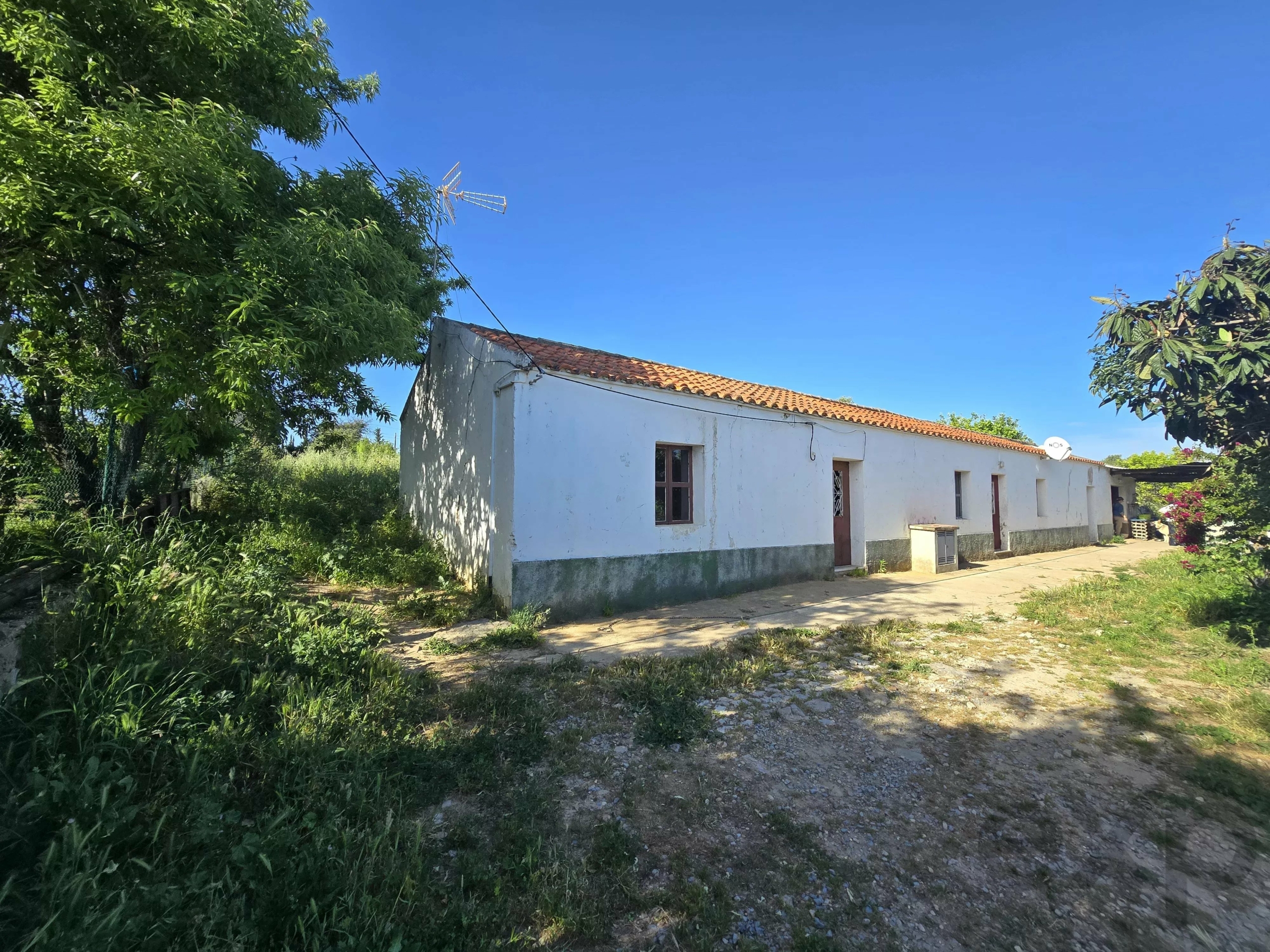 6 room Farmhouse with 1.5 hectares of land and sea view