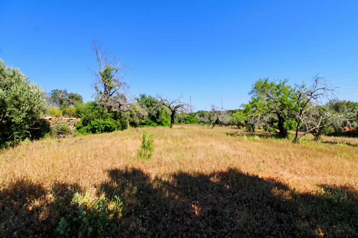Rustic land of 5080 m2 for sale in Estoi, Faro