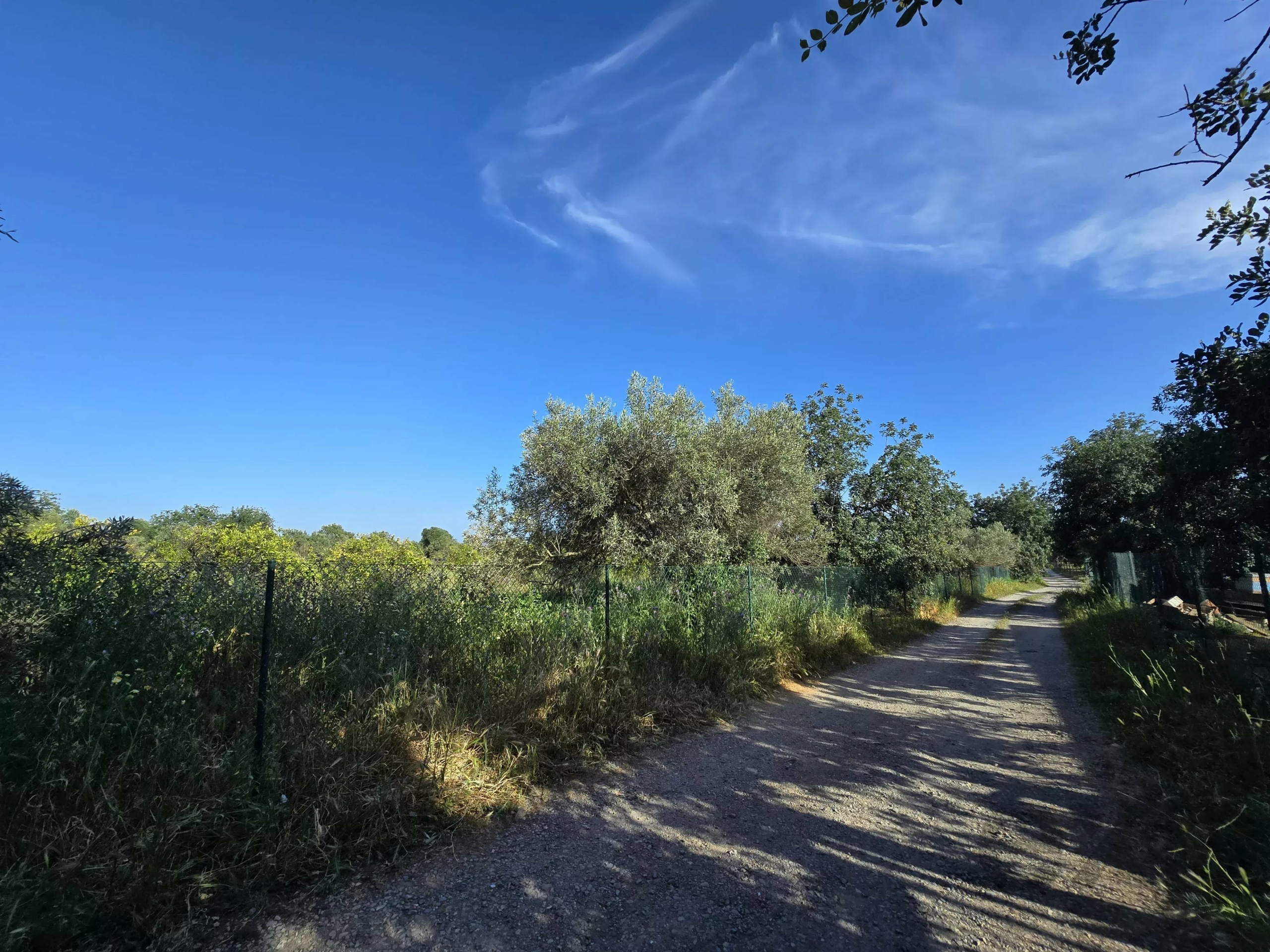 6 room Farmhouse with 1.5 hectares of land and sea view