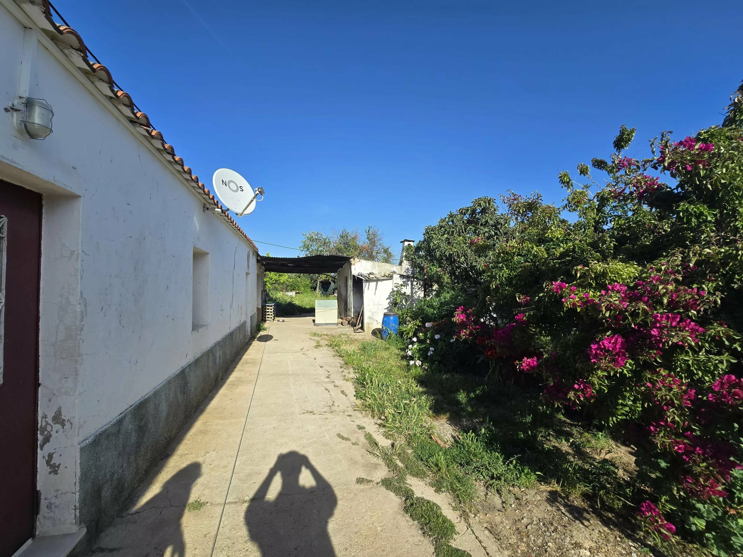 6 room Farmhouse with 1.5 hectares of land and sea view