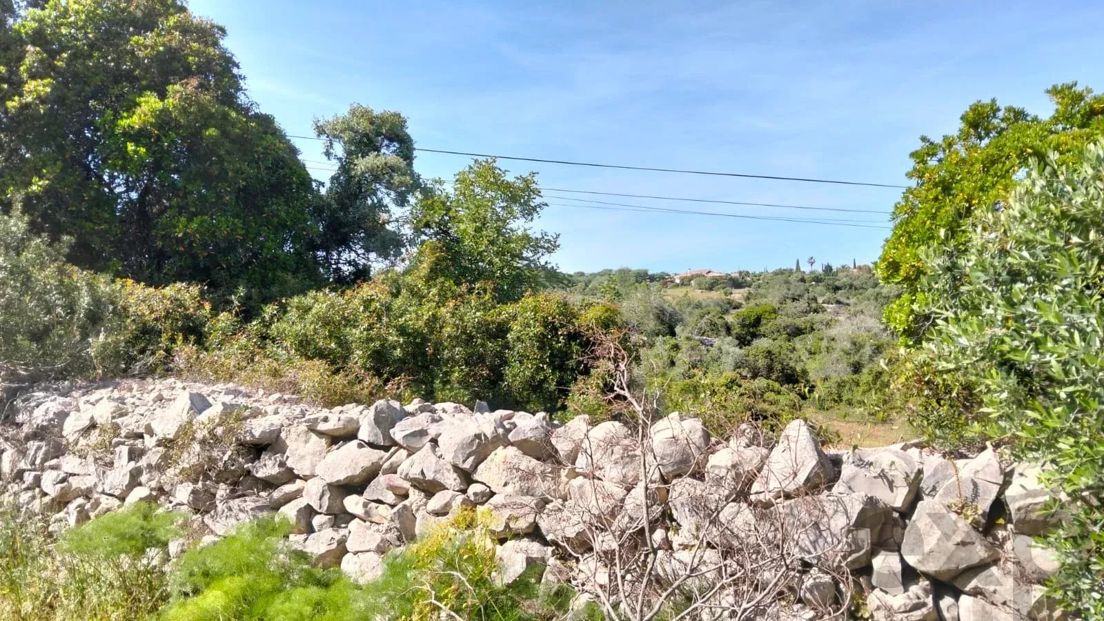 1560 m² Non-Constructible Land in Santa Bárbara de Nexe