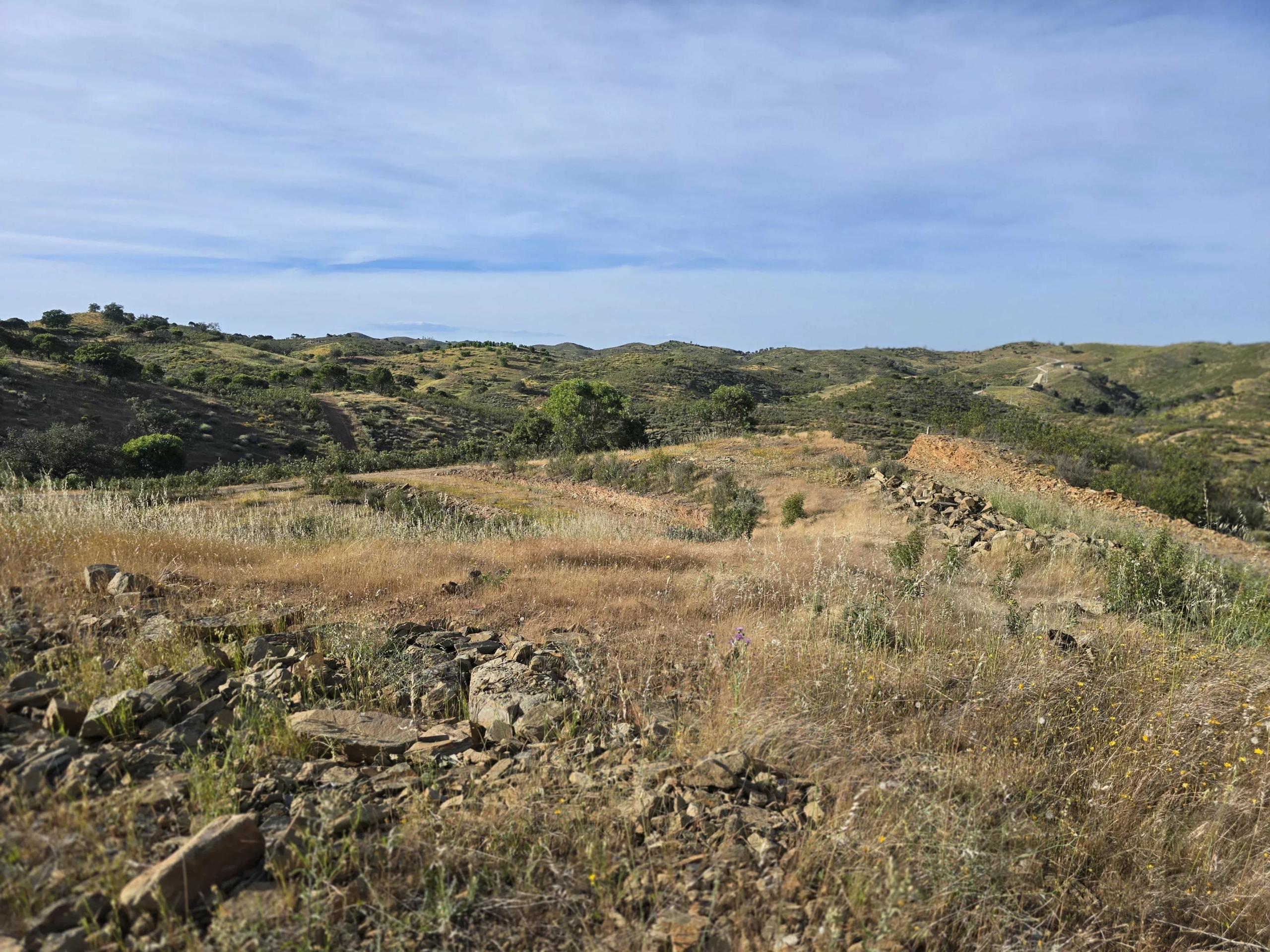 Rural land with sea view over one hectare