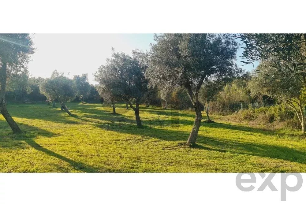 Buildable land with a ruin and an approved project