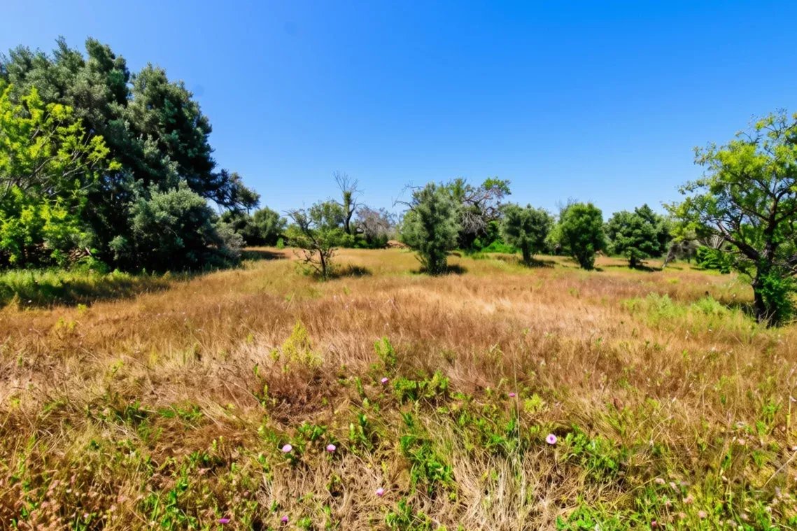 Rustic land of 5080 m2 for sale in Estoi, Faro