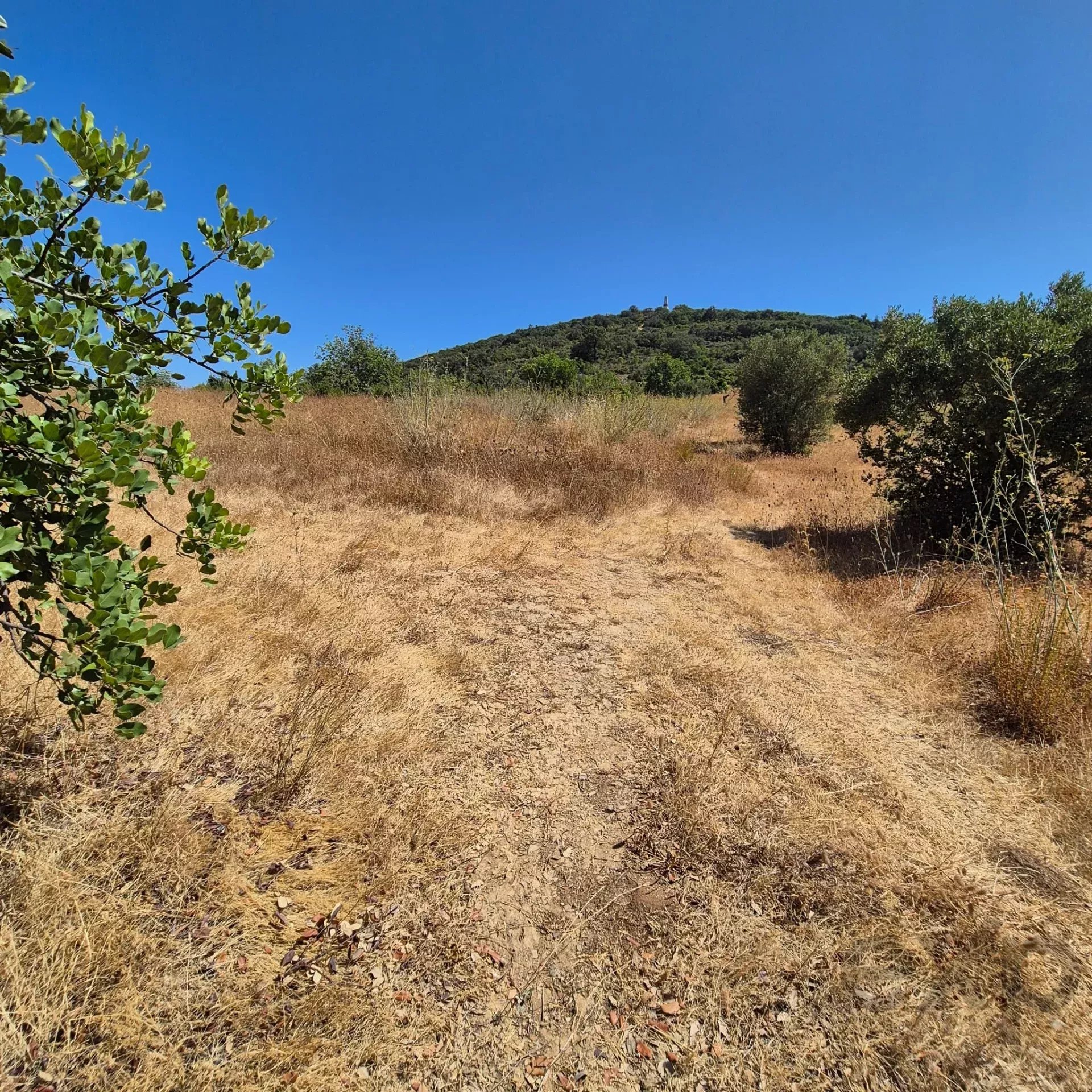 Rustic Land in Santa Bárbara de Nexe