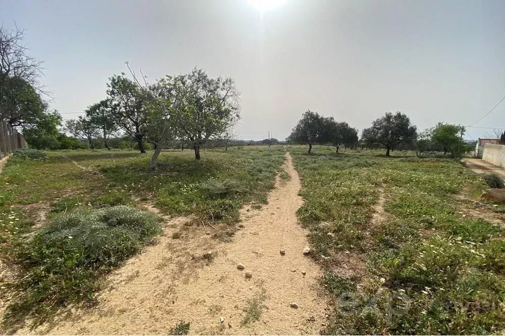 Terreno rústico em Quelfes, Algarve