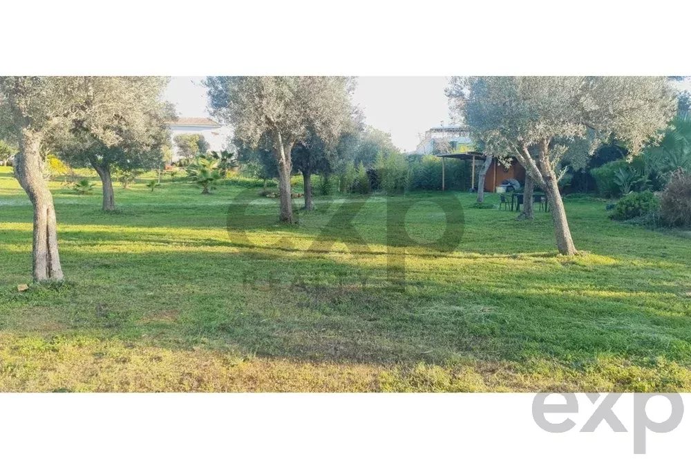 Buildable land with a ruin and an approved project