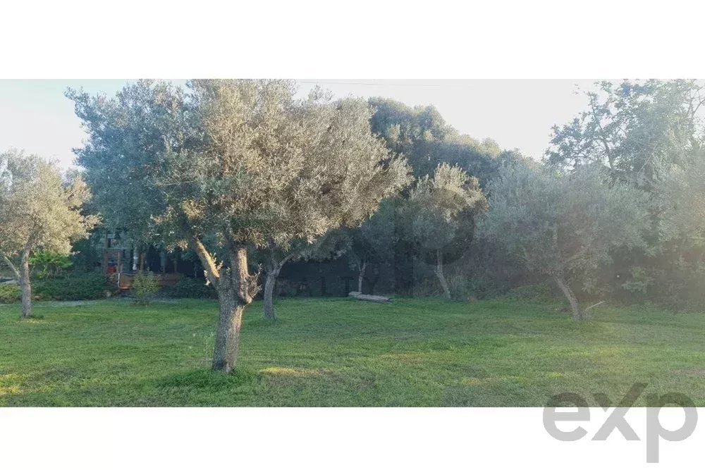 Buildable land with a ruin and an approved project