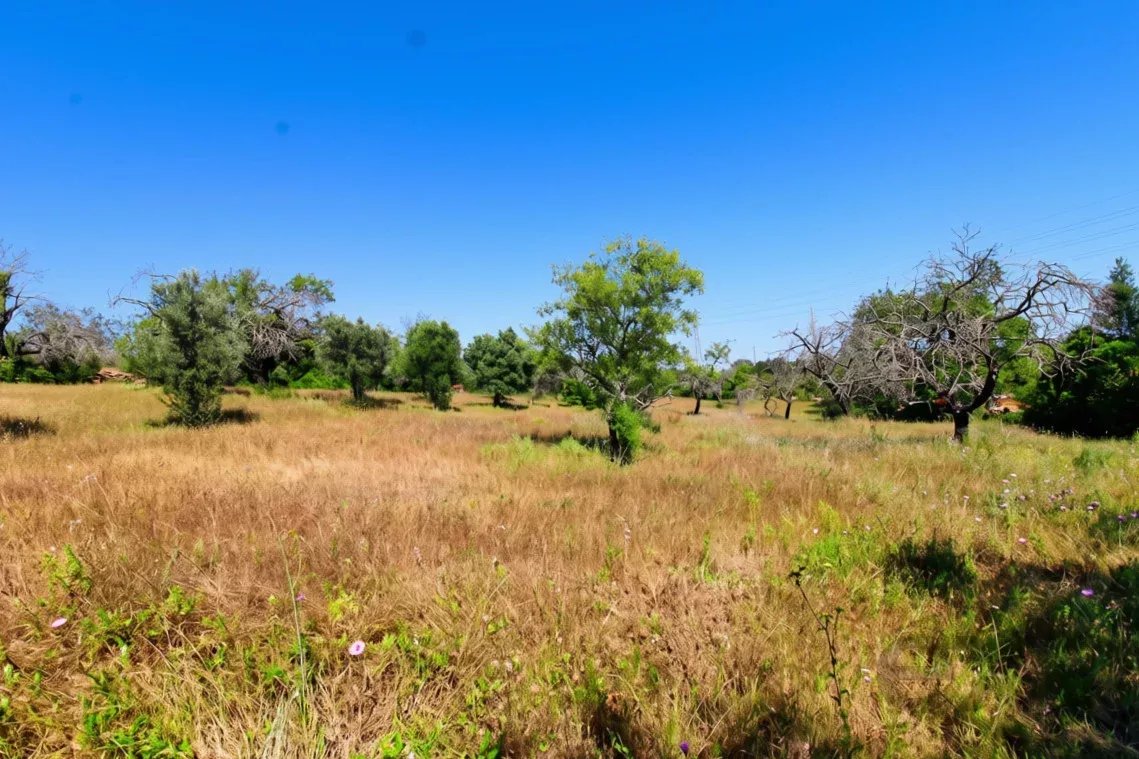 Rustic land of 5080 m2 for sale in Estoi, Faro