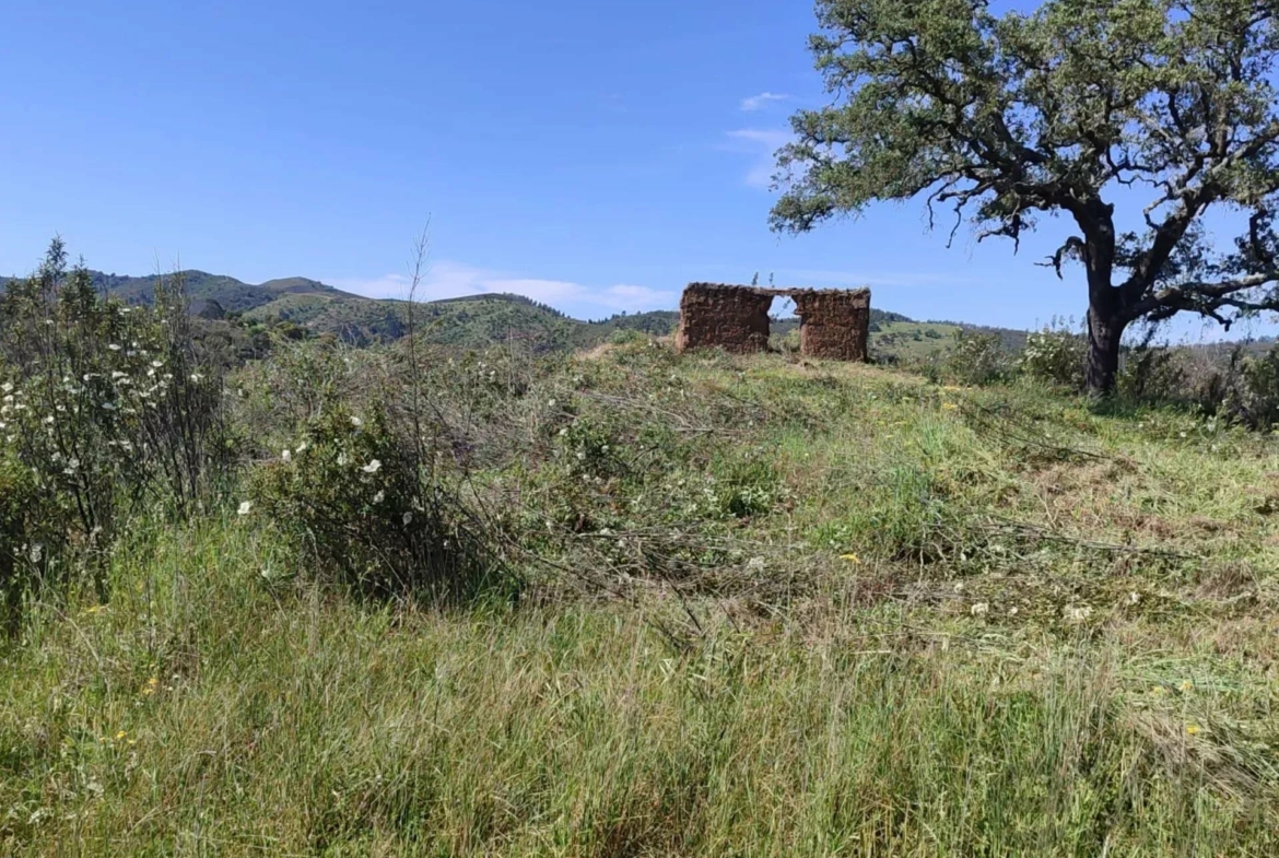 1170
