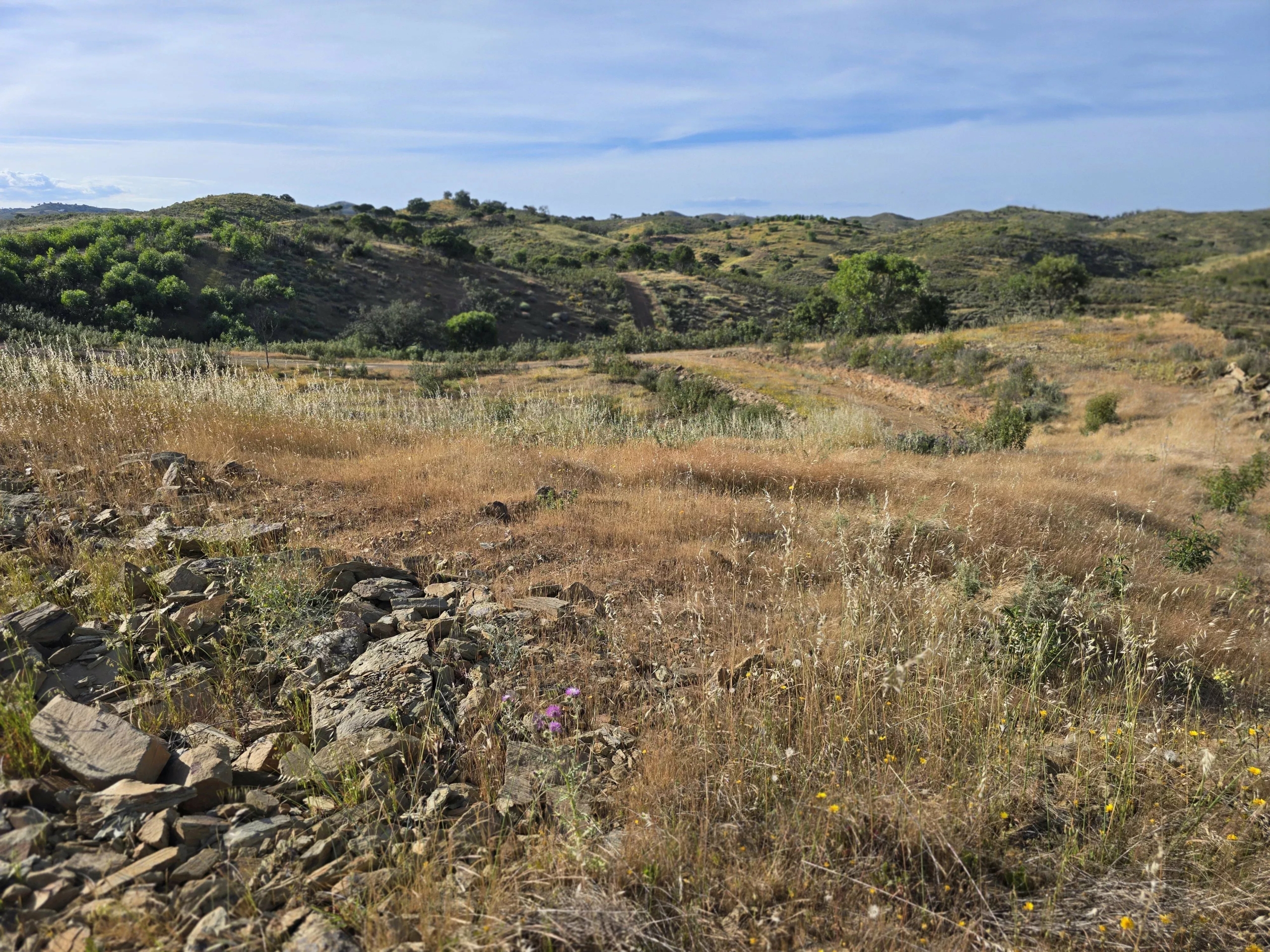 Rural land with sea view over one hectare