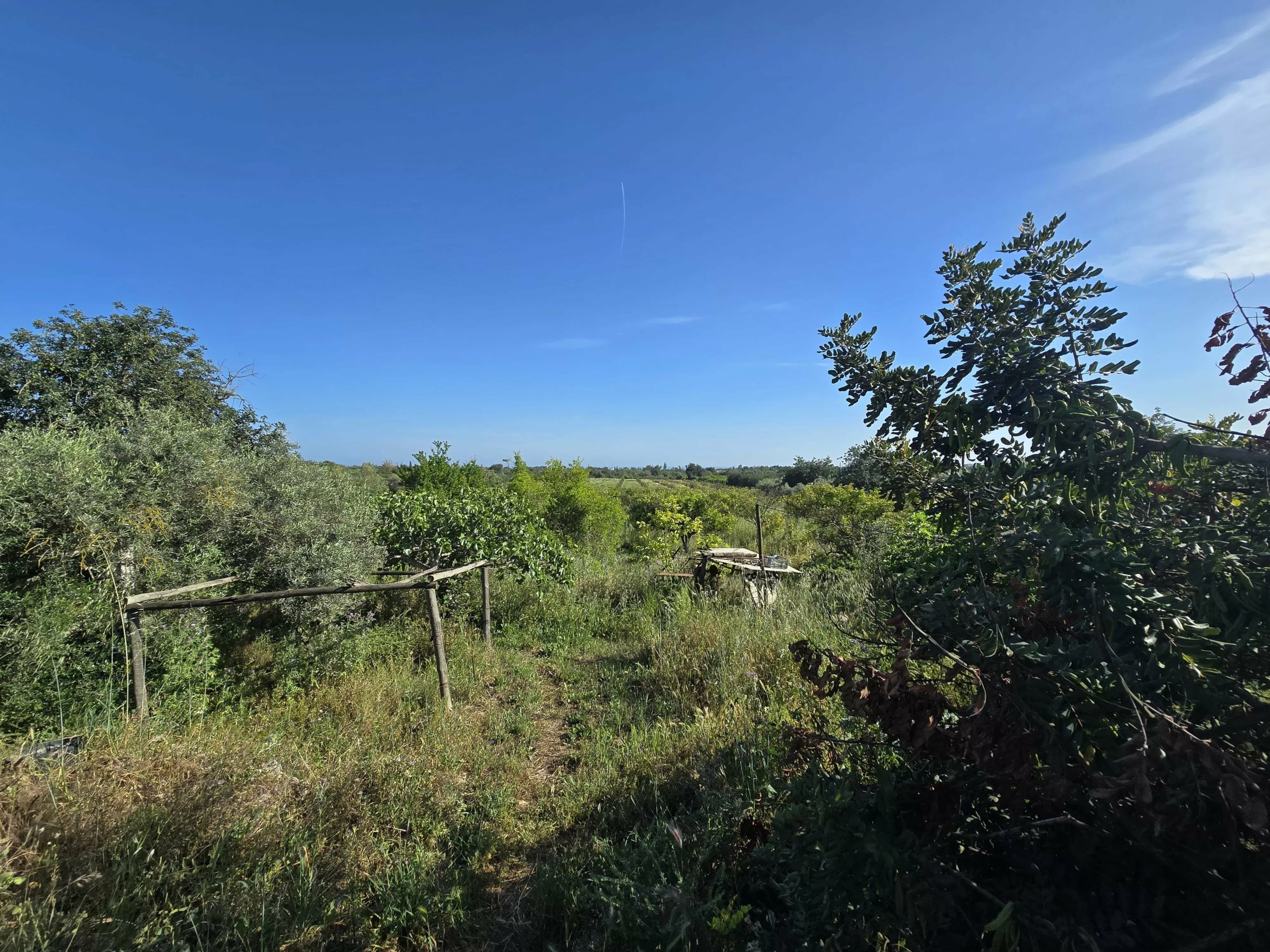 6 room Farmhouse with 1.5 hectares of land and sea view