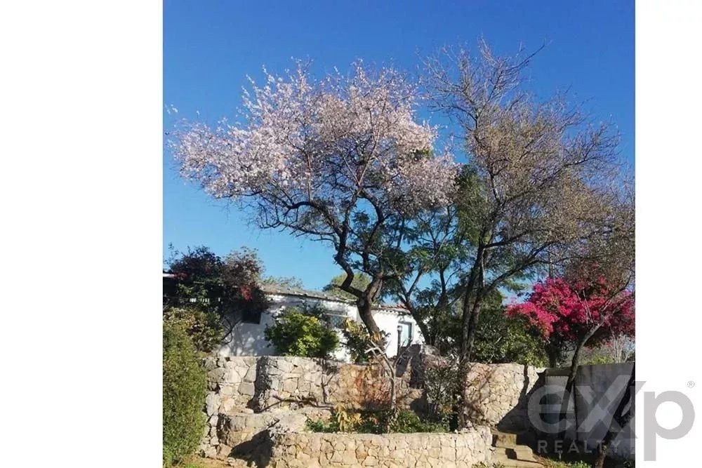 Farm for sale in Santa Margarida