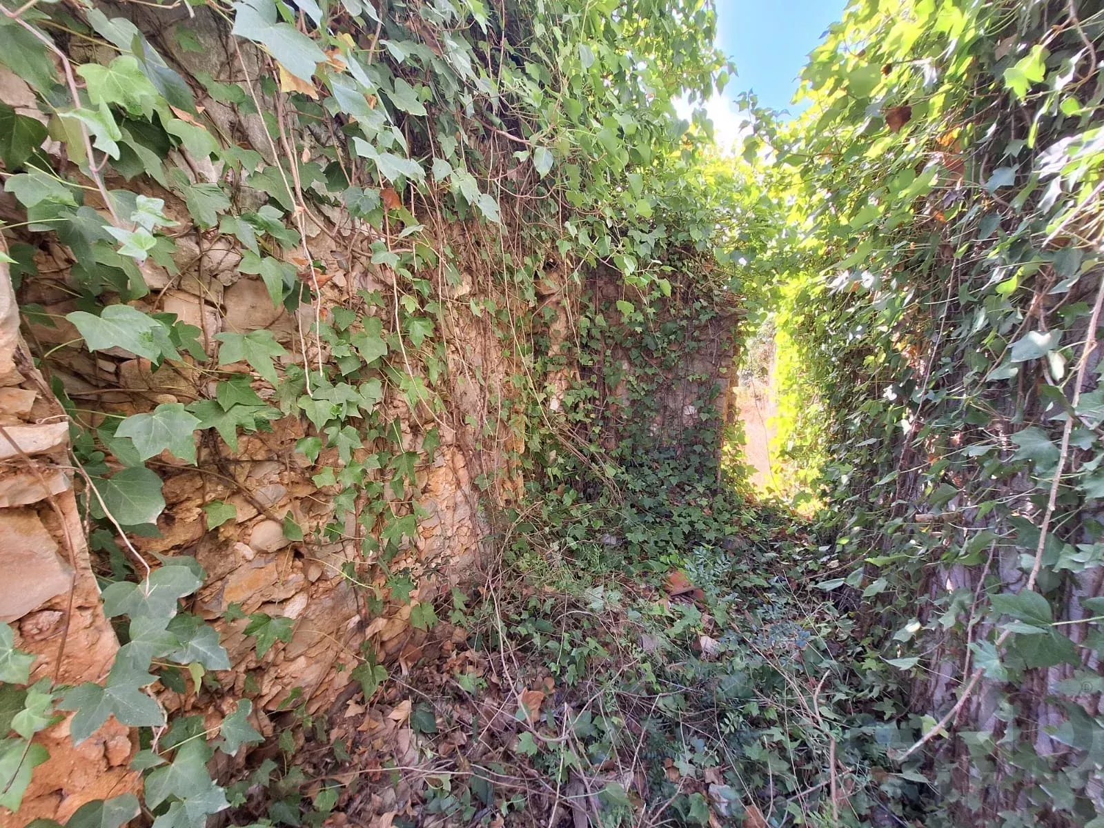 Terreno urbano para construção