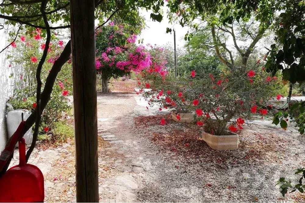 Farm for sale in Santa Margarida