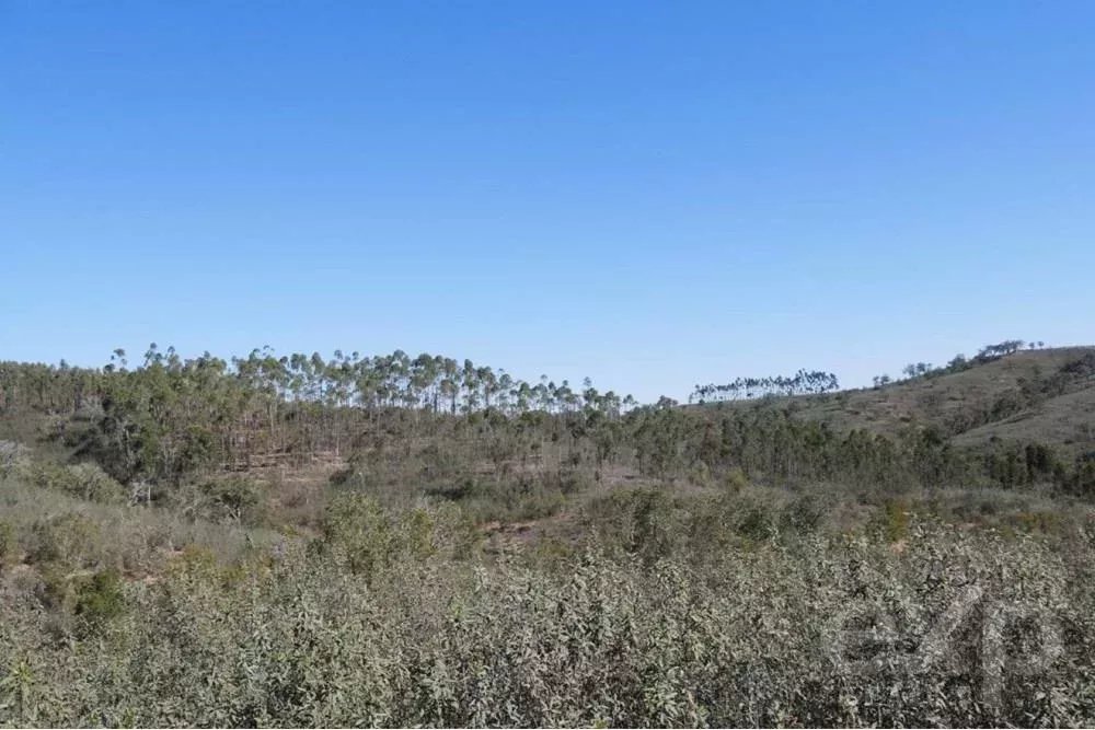 Außergewöhnliches Landgut von 65 ha im Alentejo mit touristischem Entwicklungspotenzial