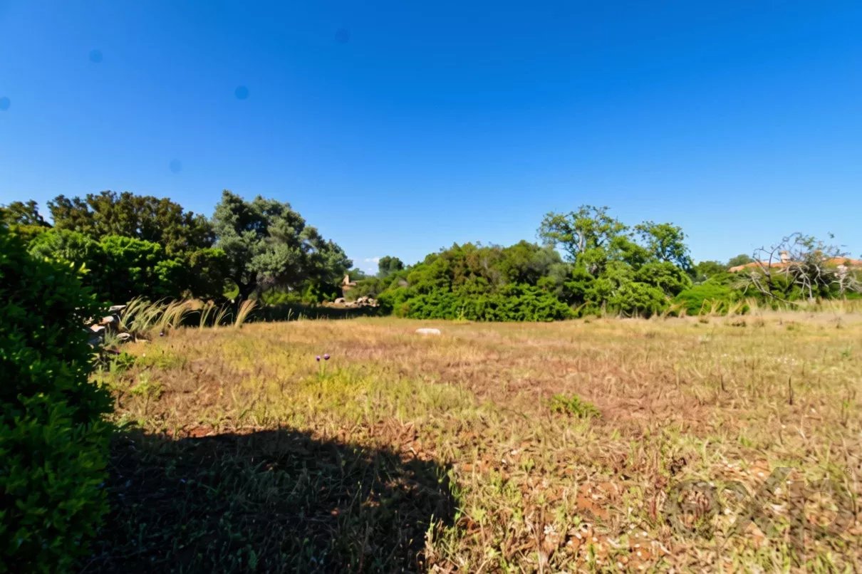 Two rustic flat plots of land, sold together, with 7120 m2
