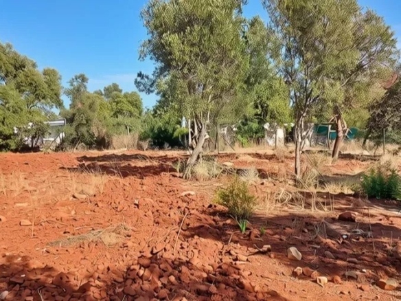Rustic flat land with 4240 sqm in the Algarve