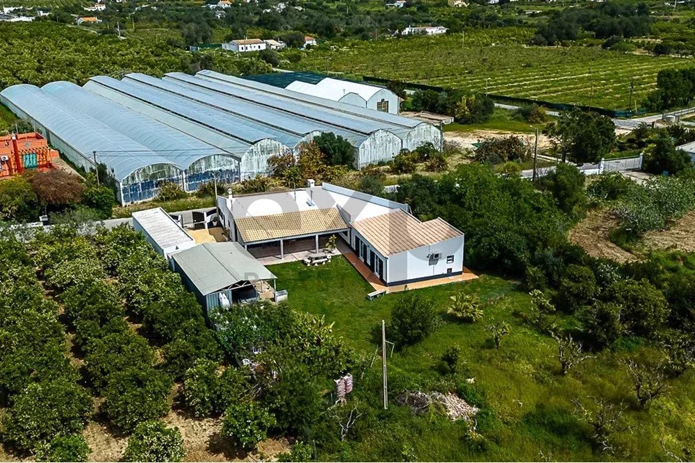 Charmantes Landhaus nur wenige Minuten von Barril Beach und Tavira entfernt