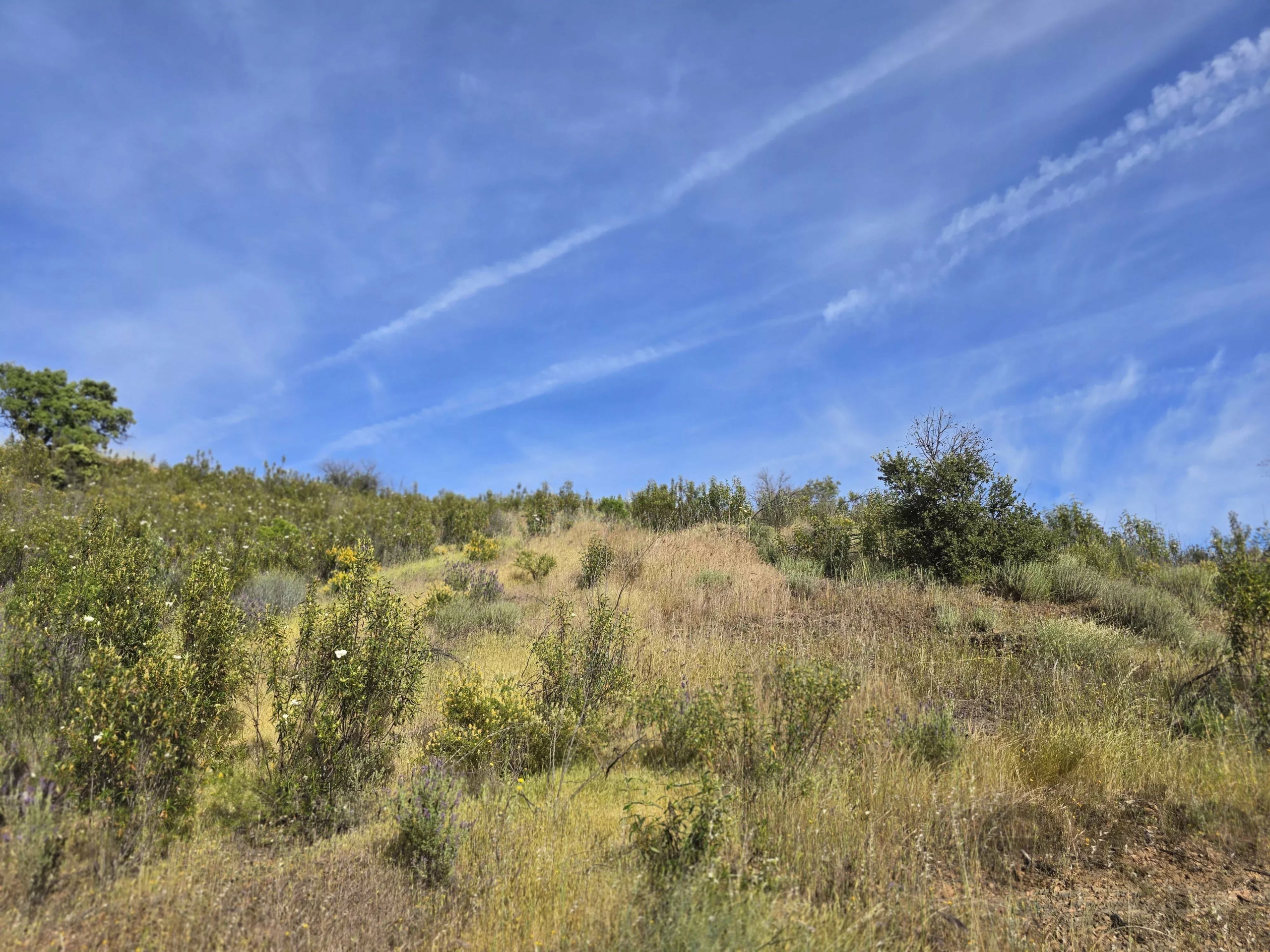 Rural land with sea view over one hectare