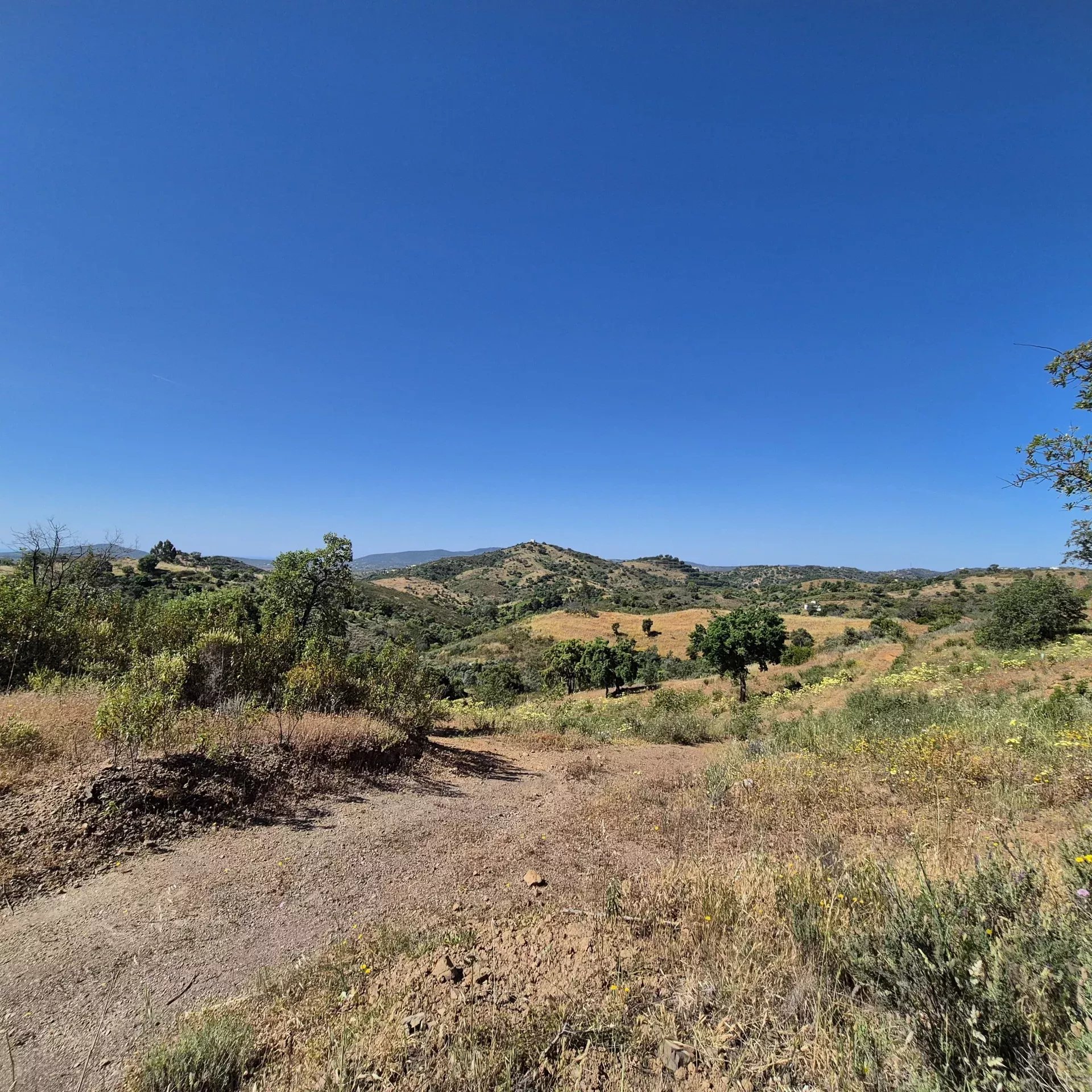 Rustic land in Alqueivinho