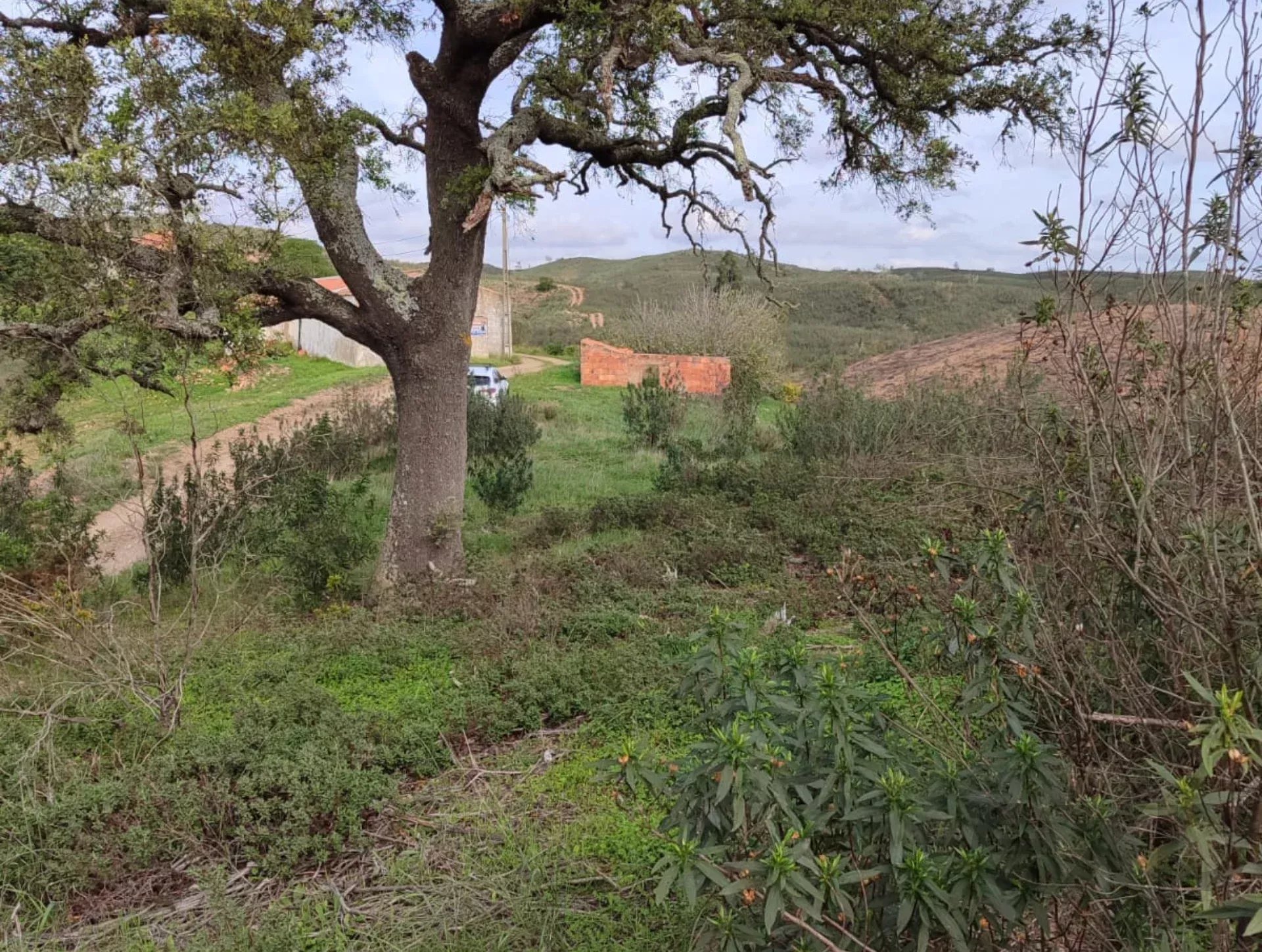 1,13 hectare in São Marcos da Serra: potentieel voor luxe woningbouw of een exclusief toeristisch project