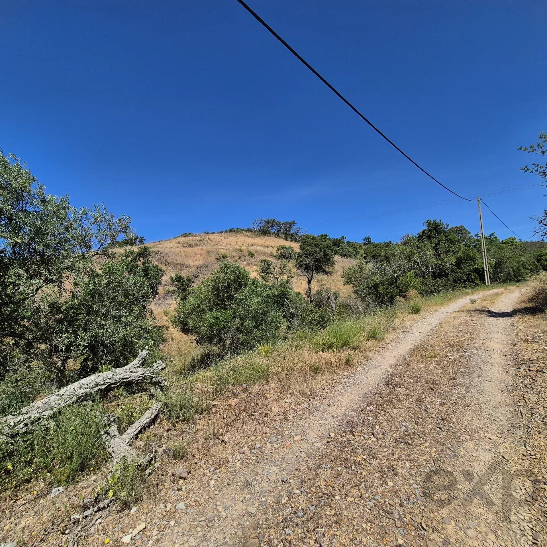 Rustic land in Montes e Lagares