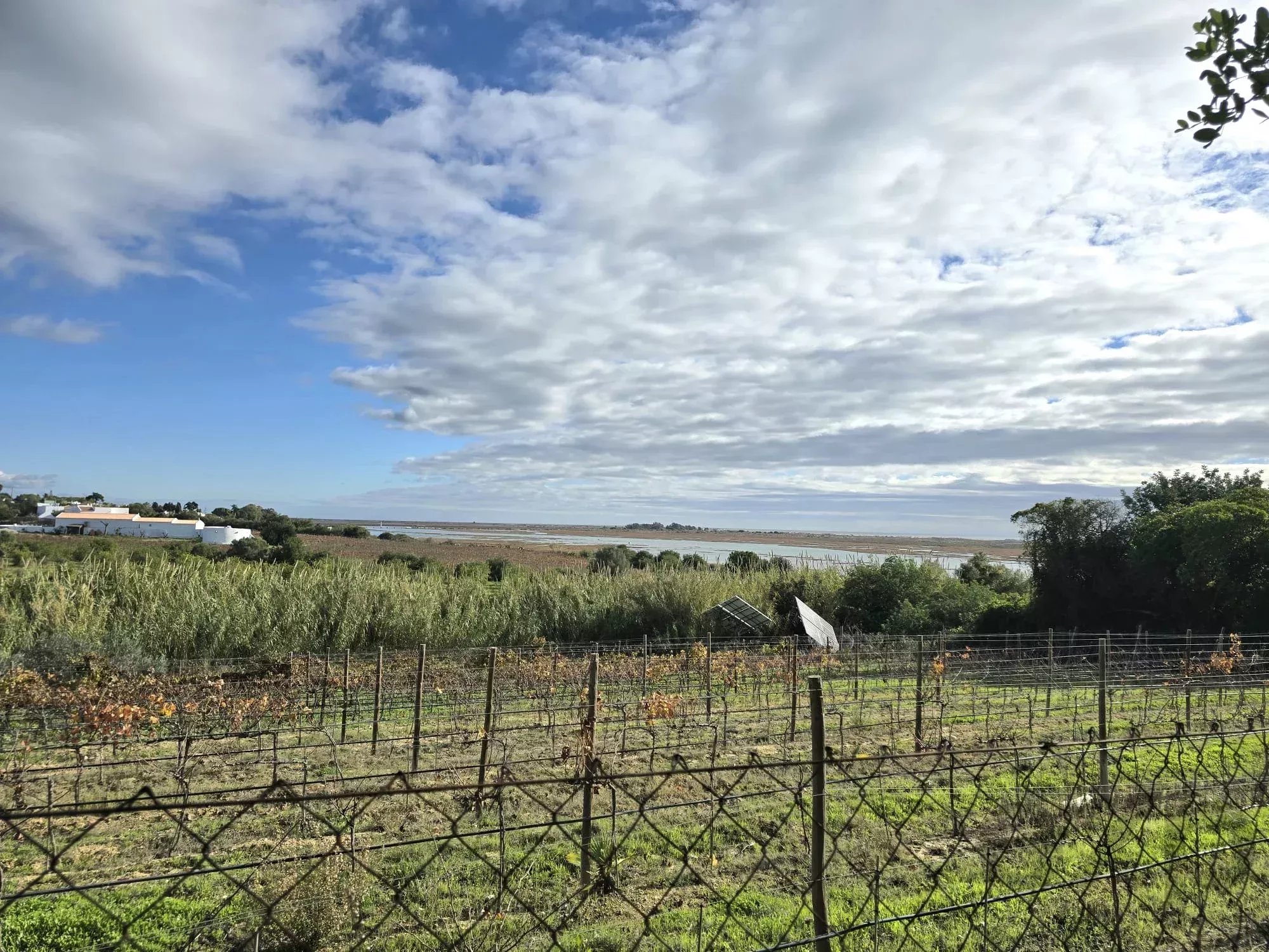 Ferme exclusive de 7.272 m², à proximité de la Ria Formosa – Potentiel unique à Tavira