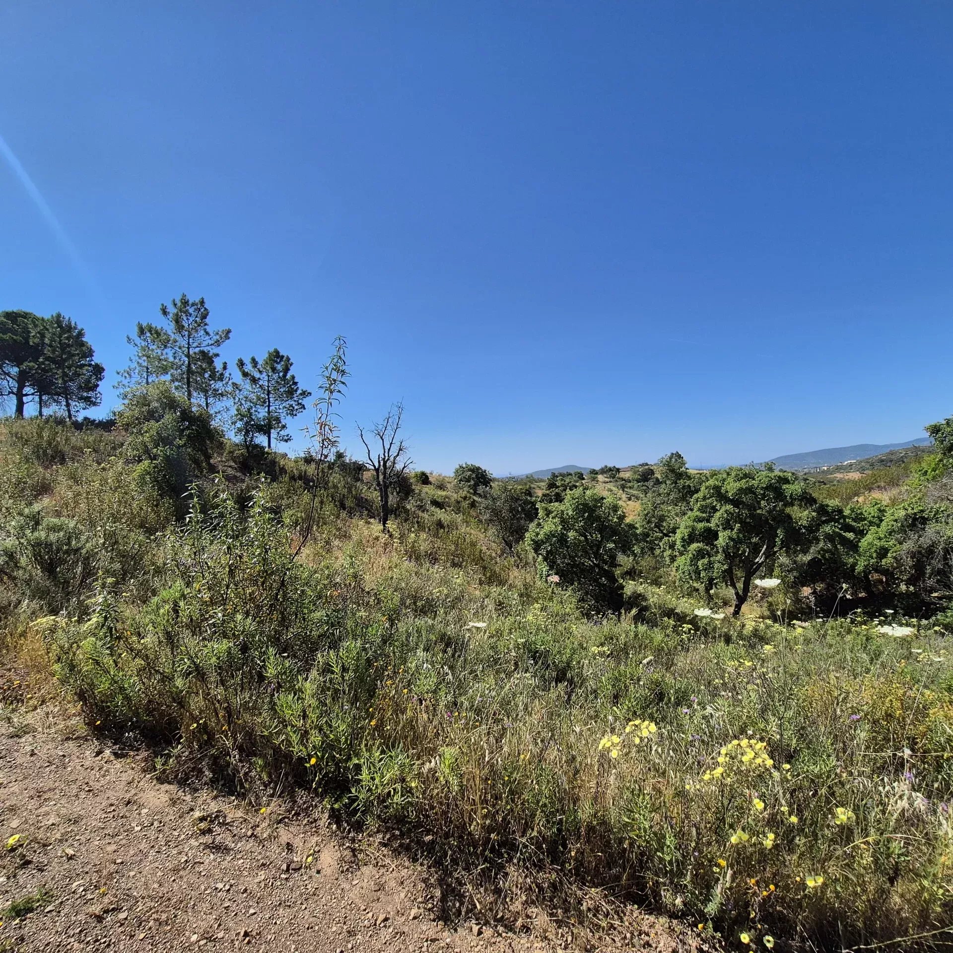 Rustic land in Alqueivinho