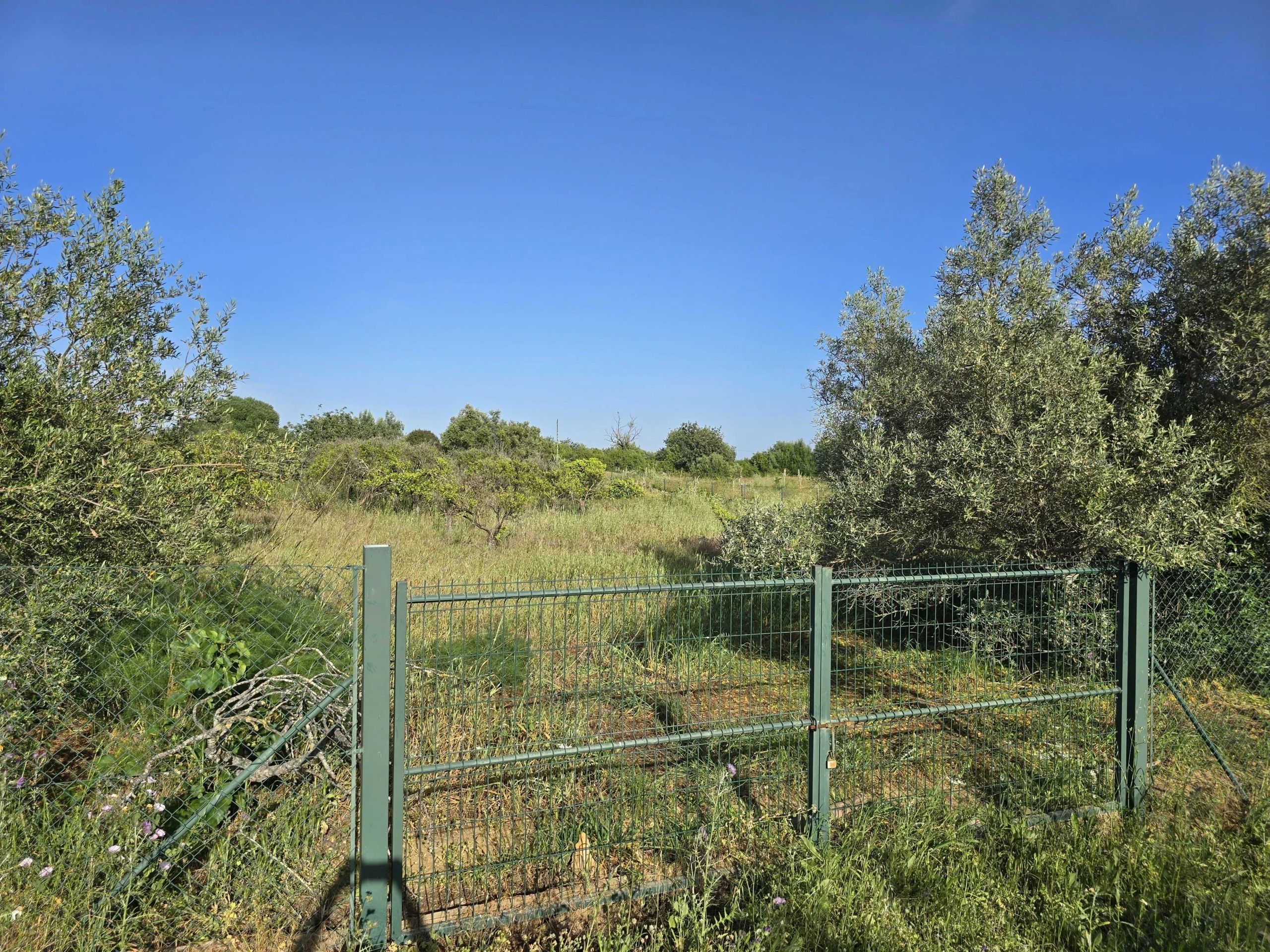 6 room Farmhouse with 1.5 hectares of land and sea view