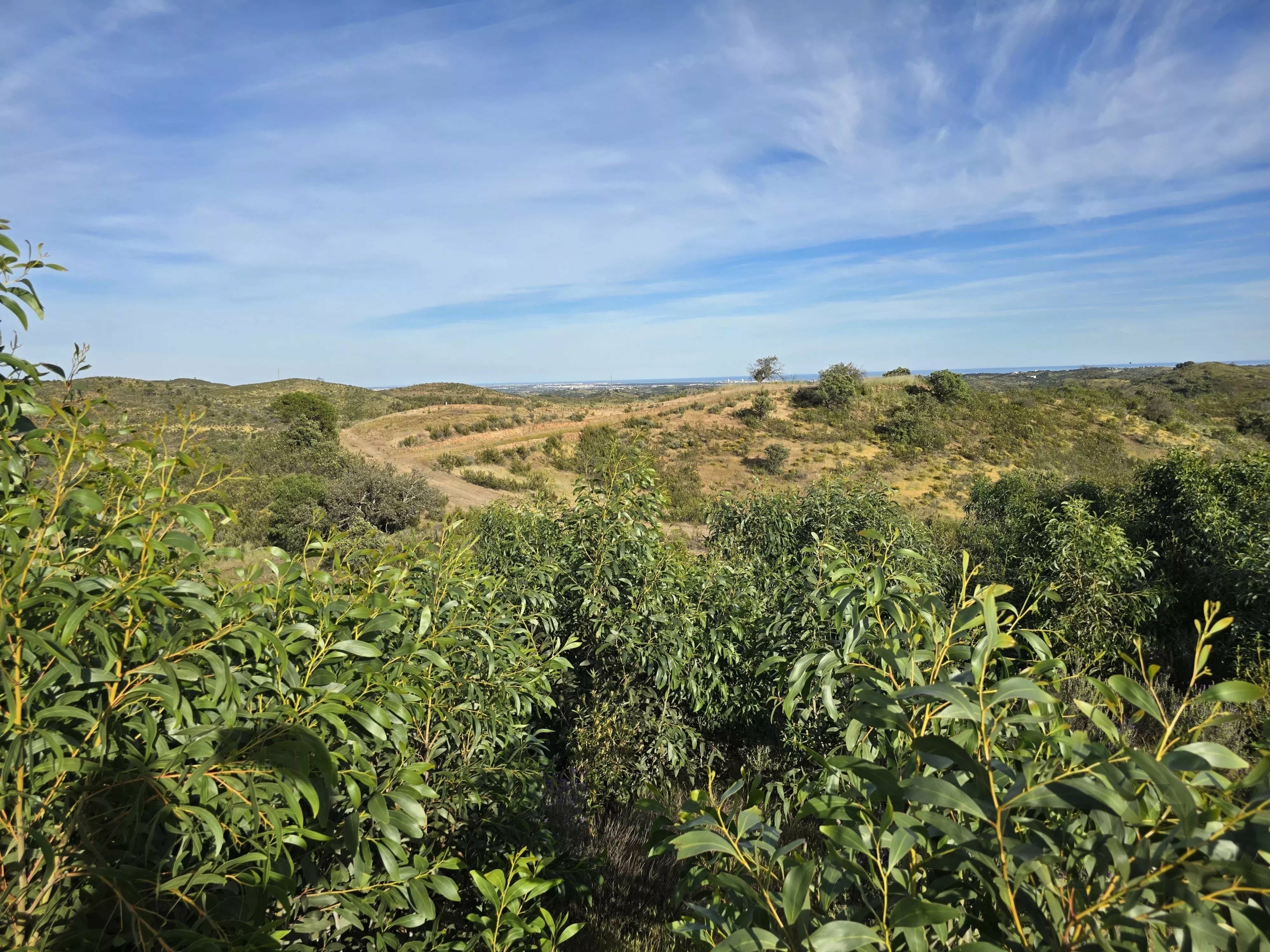 Rural land with sea view over one hectare