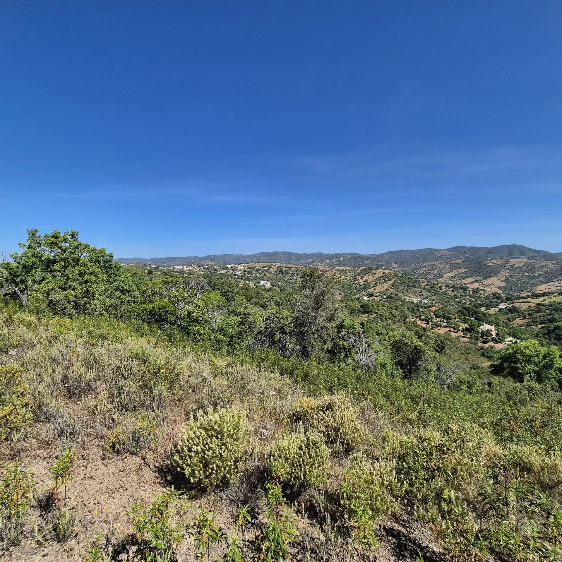 Rustic land in Alqueivinho