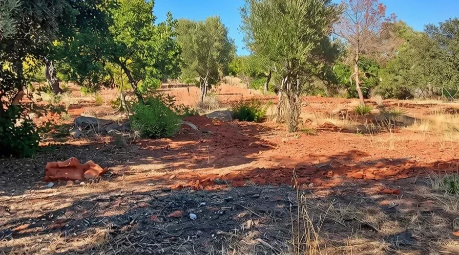 Rustic flat land with 4240 sqm in the Algarve