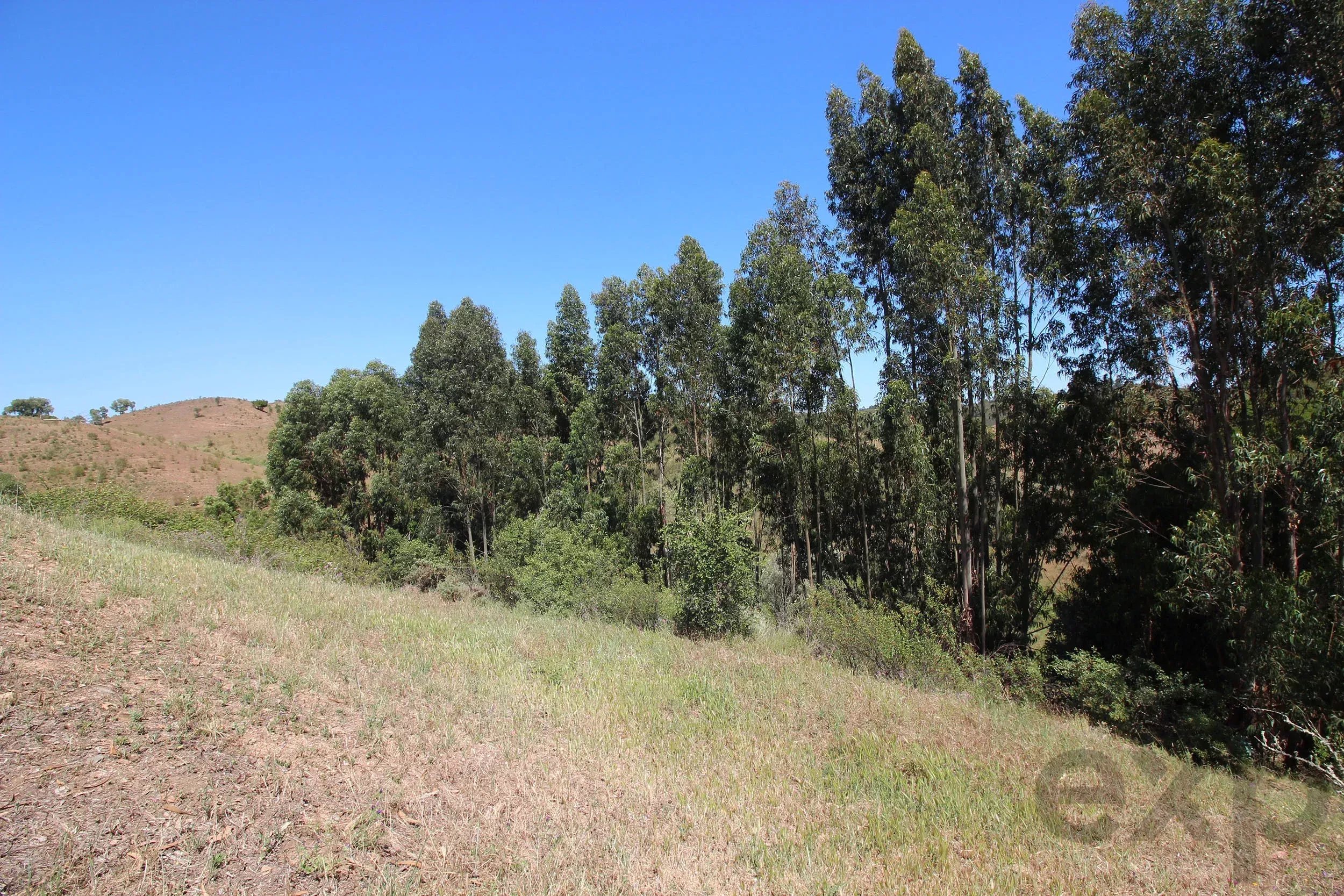 Traditional Farmhouse with Exceptional Equestrian Potential in São Marcos da Serra