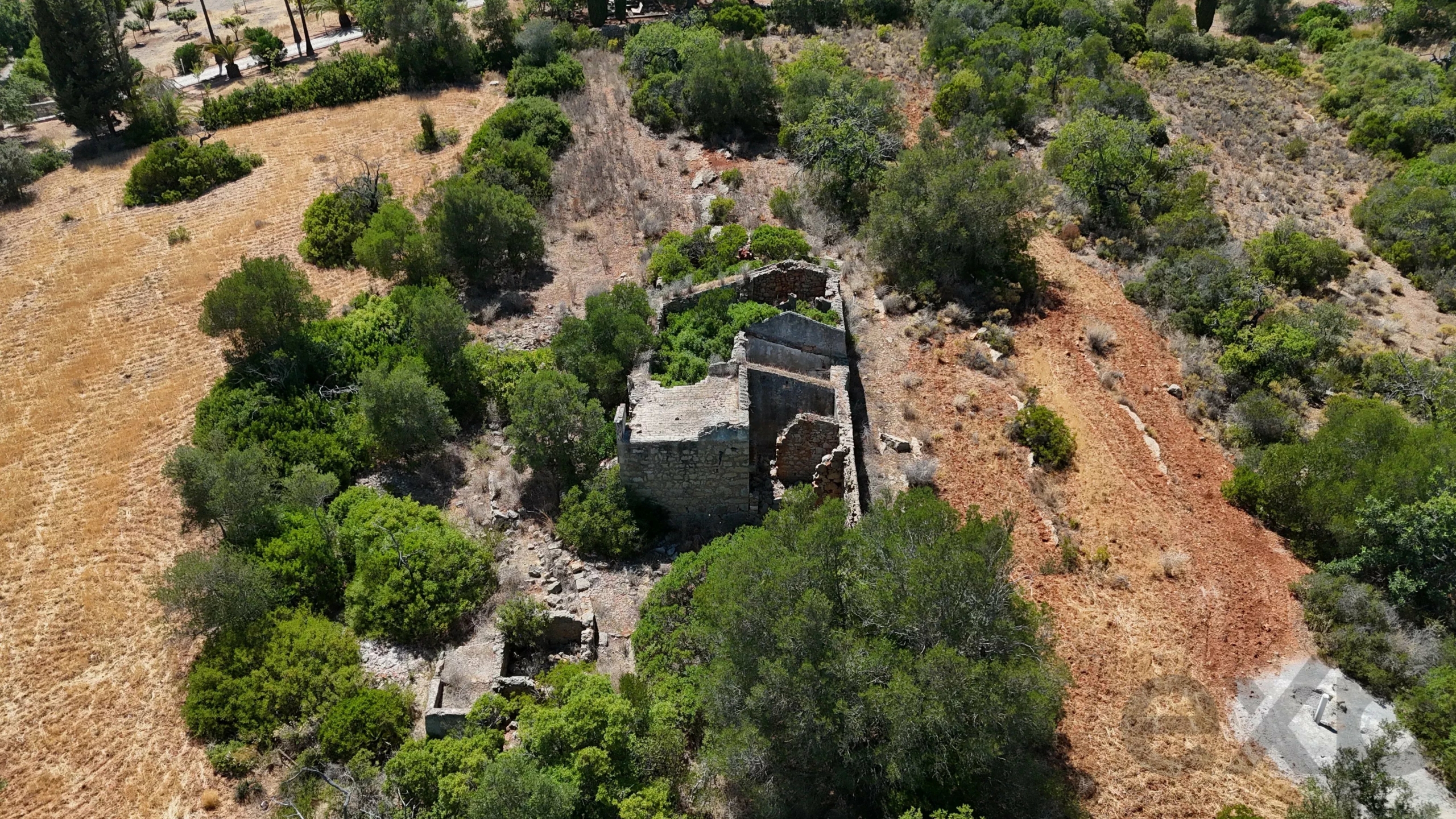 Mixed Land with Ruin | Potential for Custom Project
