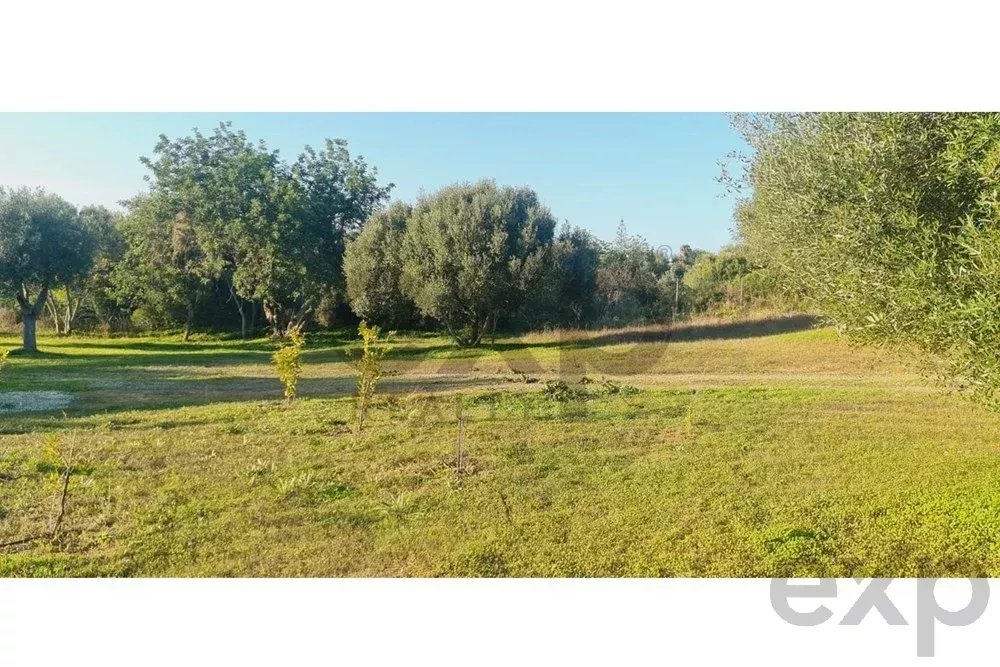 Buildable land with a ruin and an approved project