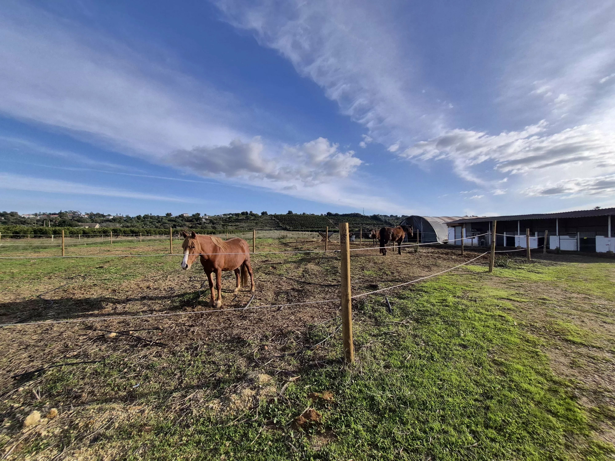 Renovated farmhouse ideally located in the middle of nature.