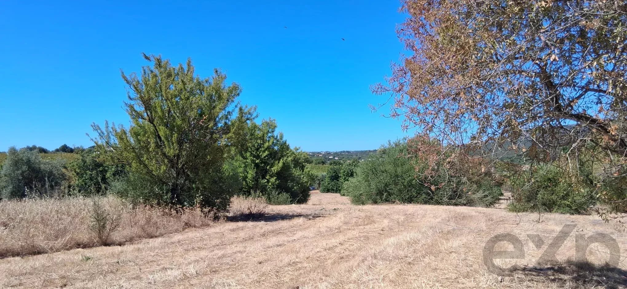 Terreno para Construção Urbana em Estiramantens, Tavira