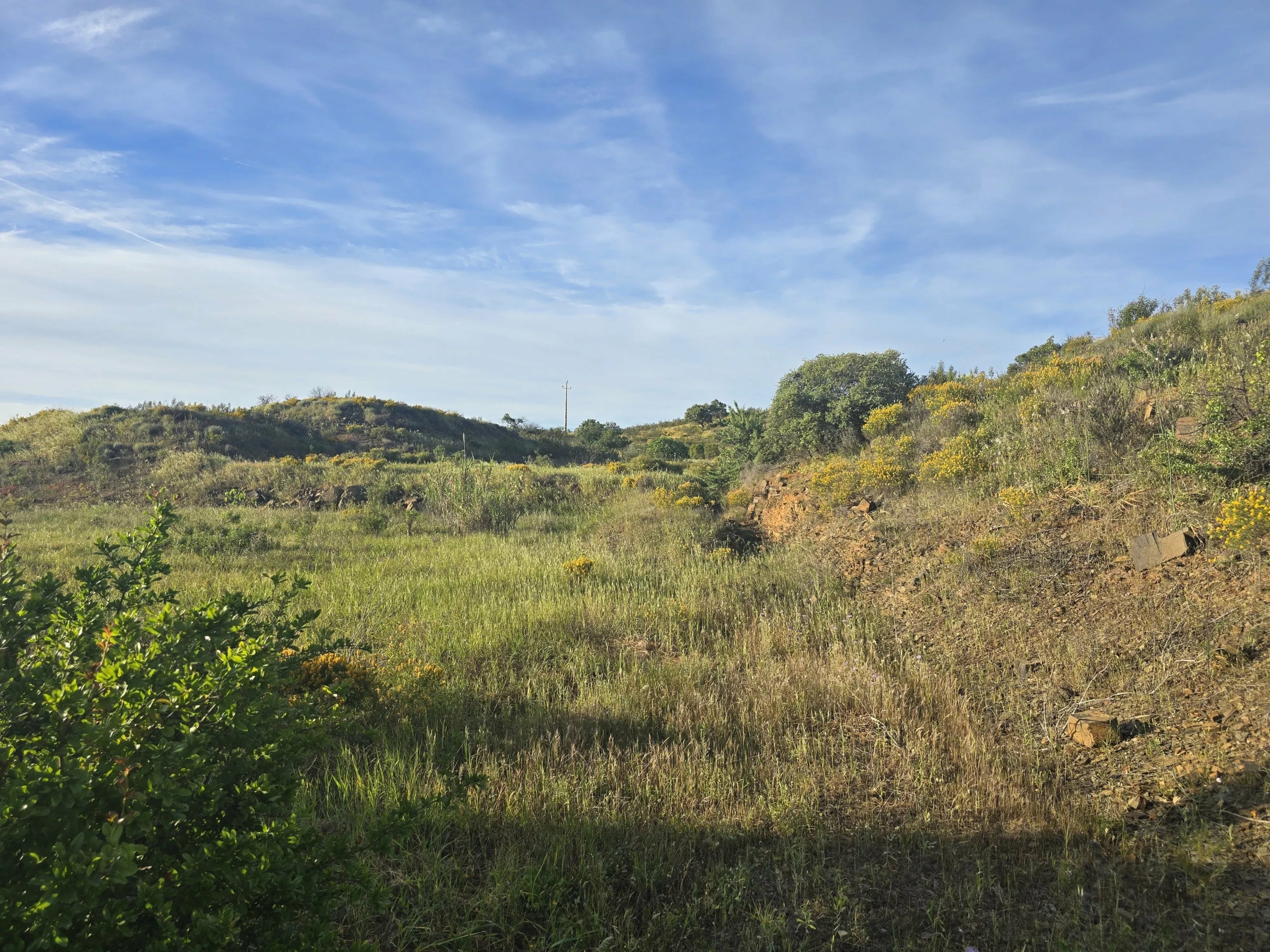 Rustic land Corte Antonio Martins with one hectare