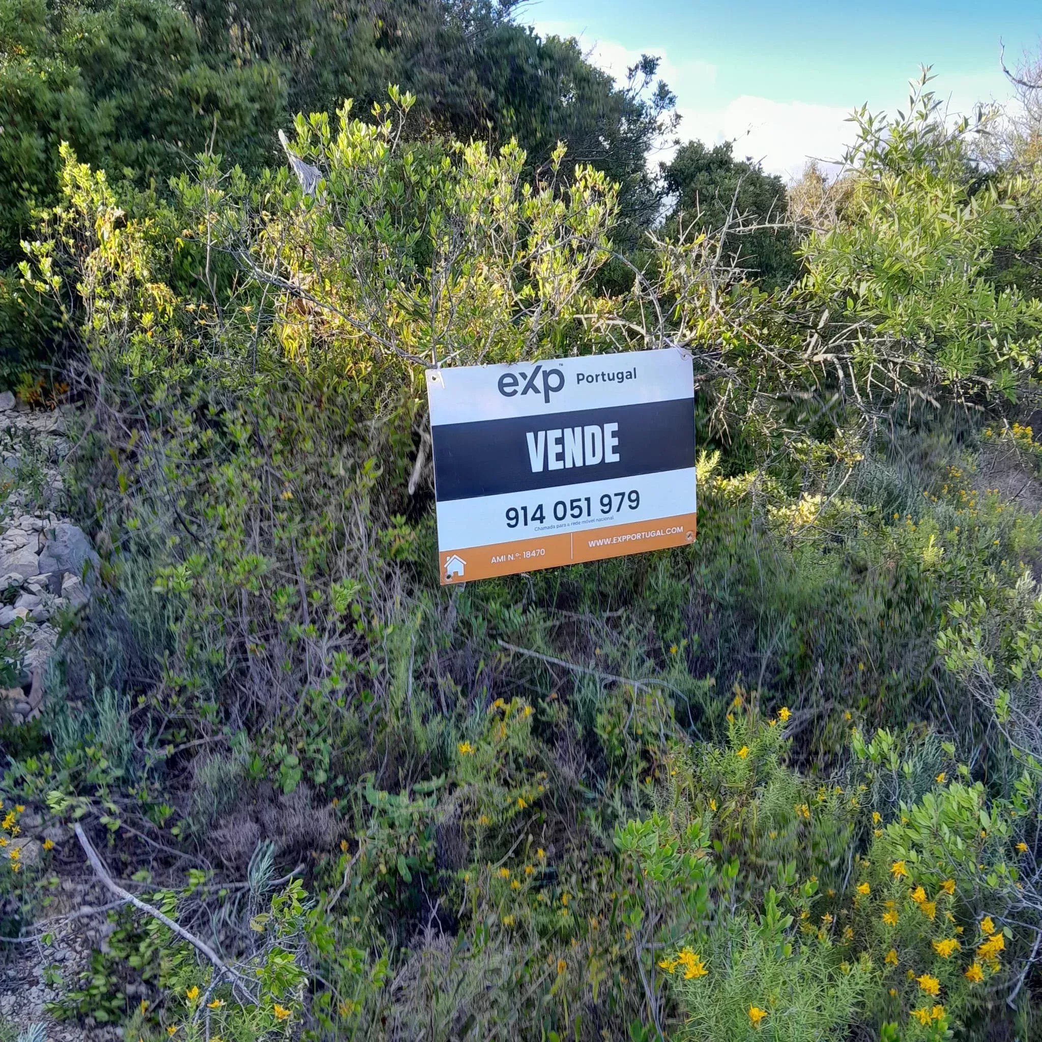 1560 m² Non-Constructible Land in Santa Bárbara de Nexe